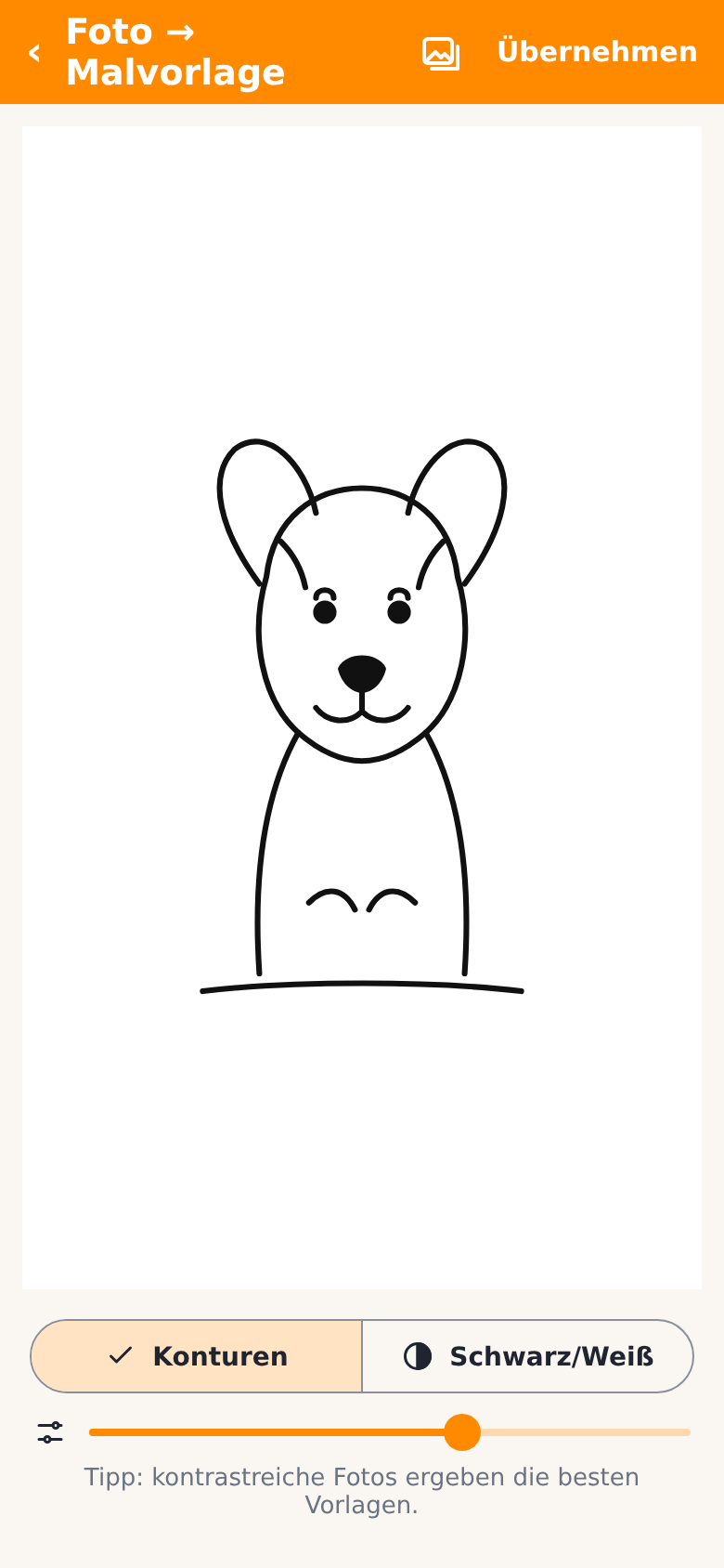 A photo turned into a line drawing of a dog, with the Outlines and Black/White options and a detail slider